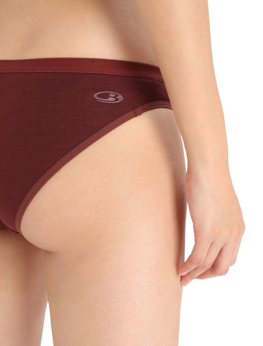 Women's Icebreaker Merino Siren Bikini Briefs Underwear Espresso | CA 1230ILHS